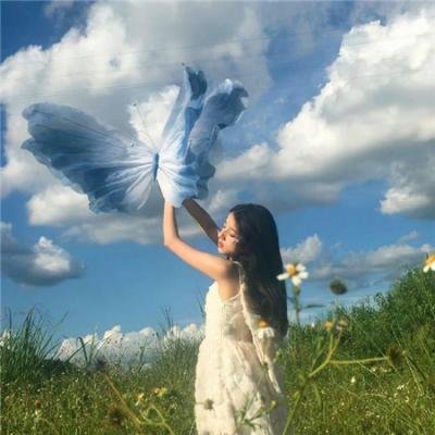 天涯寻芳踪